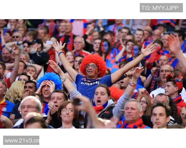 意甲20支球队详细介绍：历史背景、球员与球迷文化