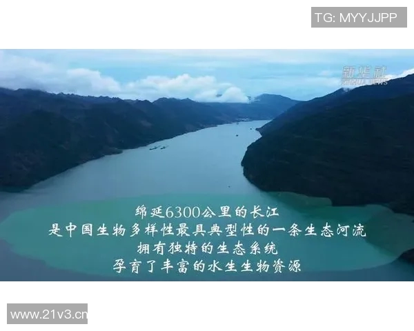 以生态优先为导向推动可持续发展的实践路径与挑战分析